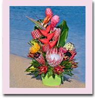 Maui Protea Arrangements